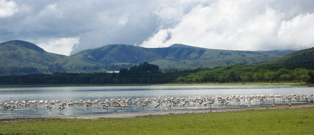 lake Nivasha. Kenya Safaris